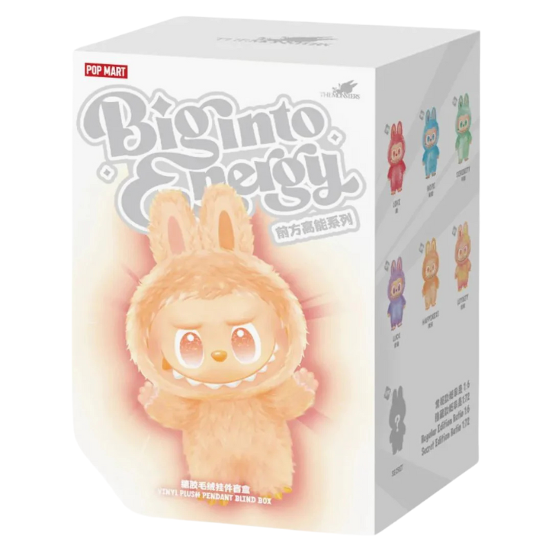 BIG INTO ENERGY - SINGLE BOX